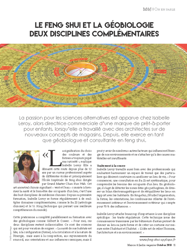 Bat_feng_shui_applique-article